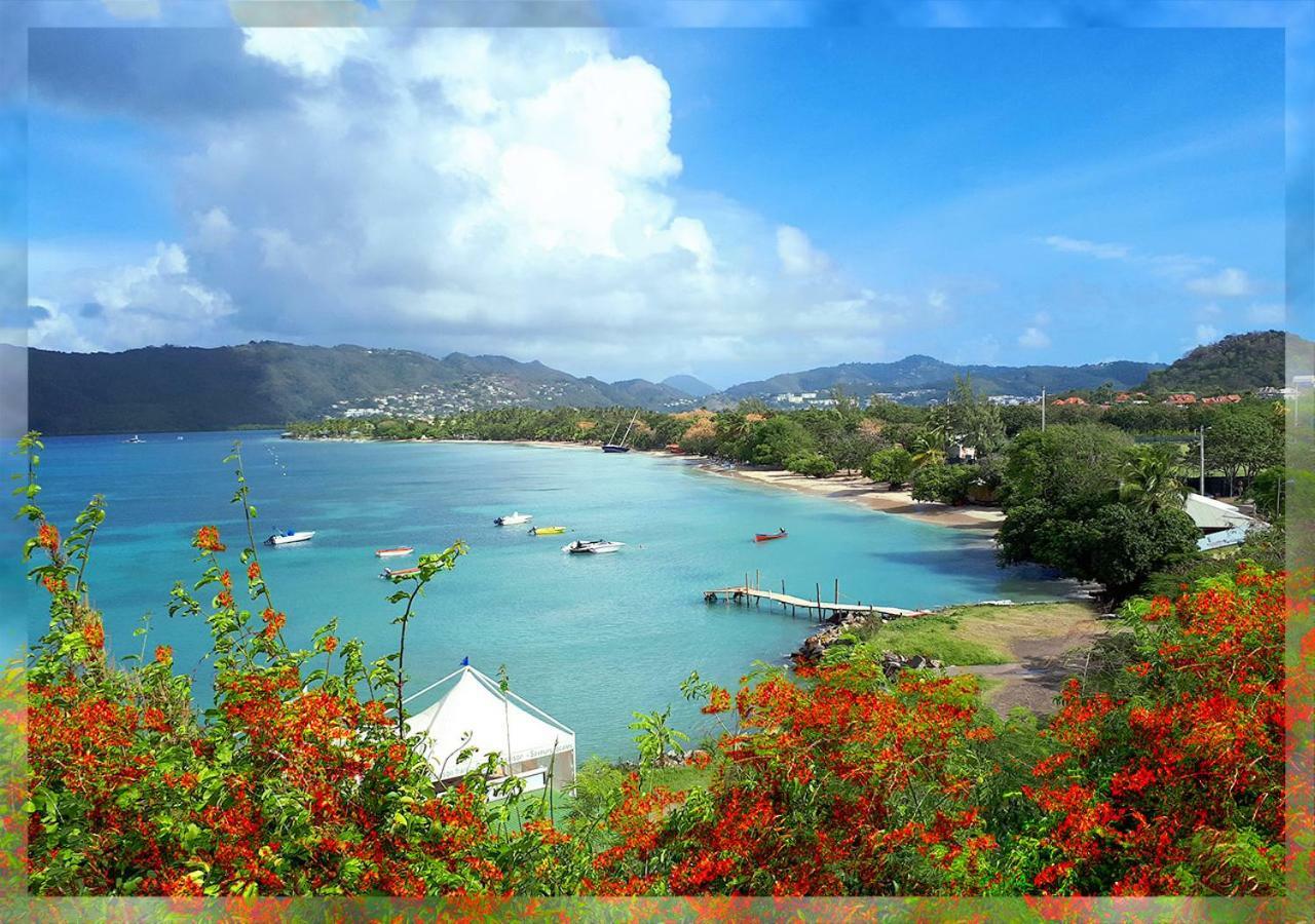 Ti Studio Creole Mahogany Sainte-Anne Eksteriør bilde