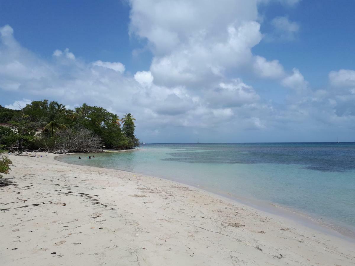 Ti Studio Creole Mahogany Sainte-Anne Eksteriør bilde